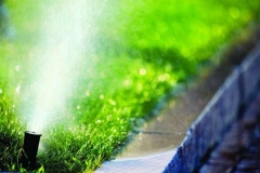 Irrigation